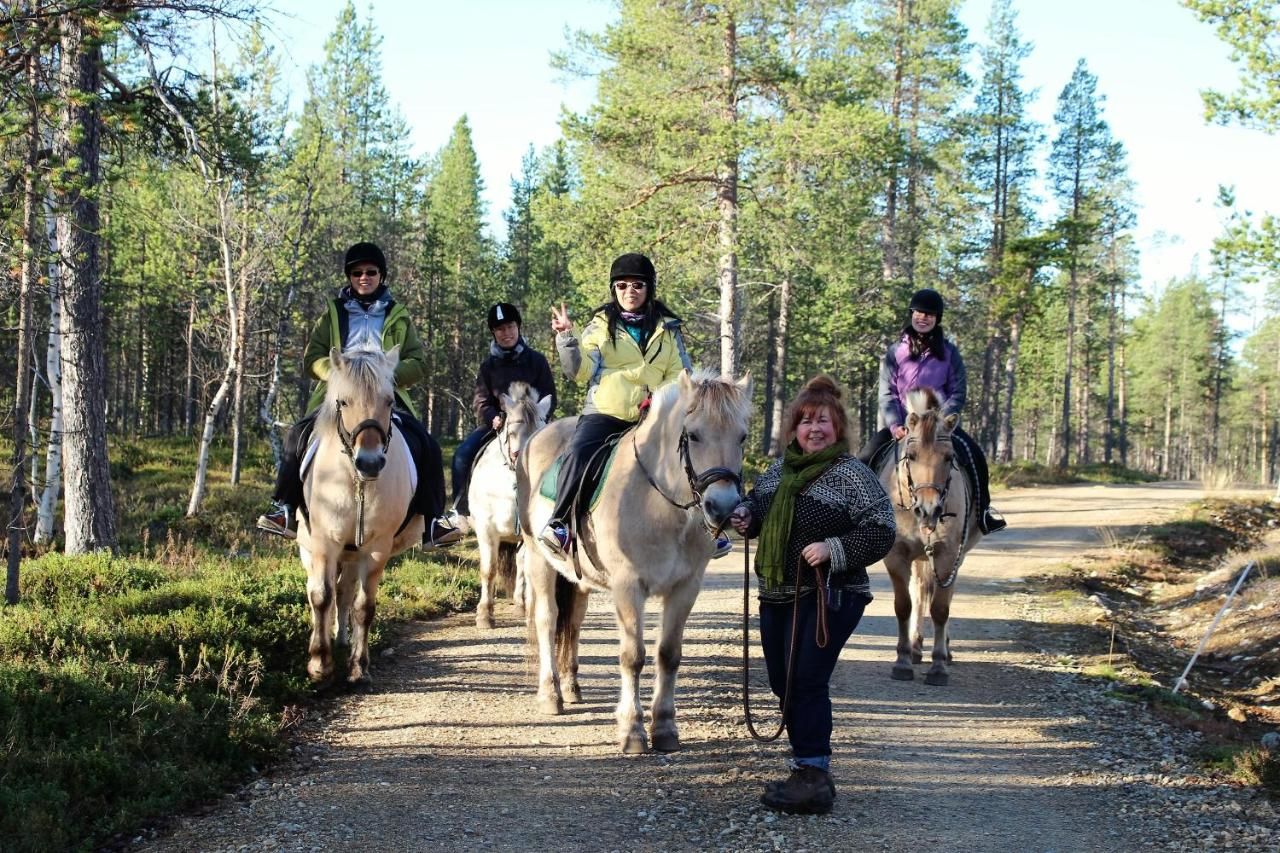 Гостевой дом Villa Lanca- Huskies & Horses Инари-28